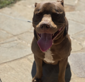 Zeus